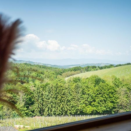 Apartament Steirerblicke - Am Winzerkogel Leibnitz Zewnętrze zdjęcie
