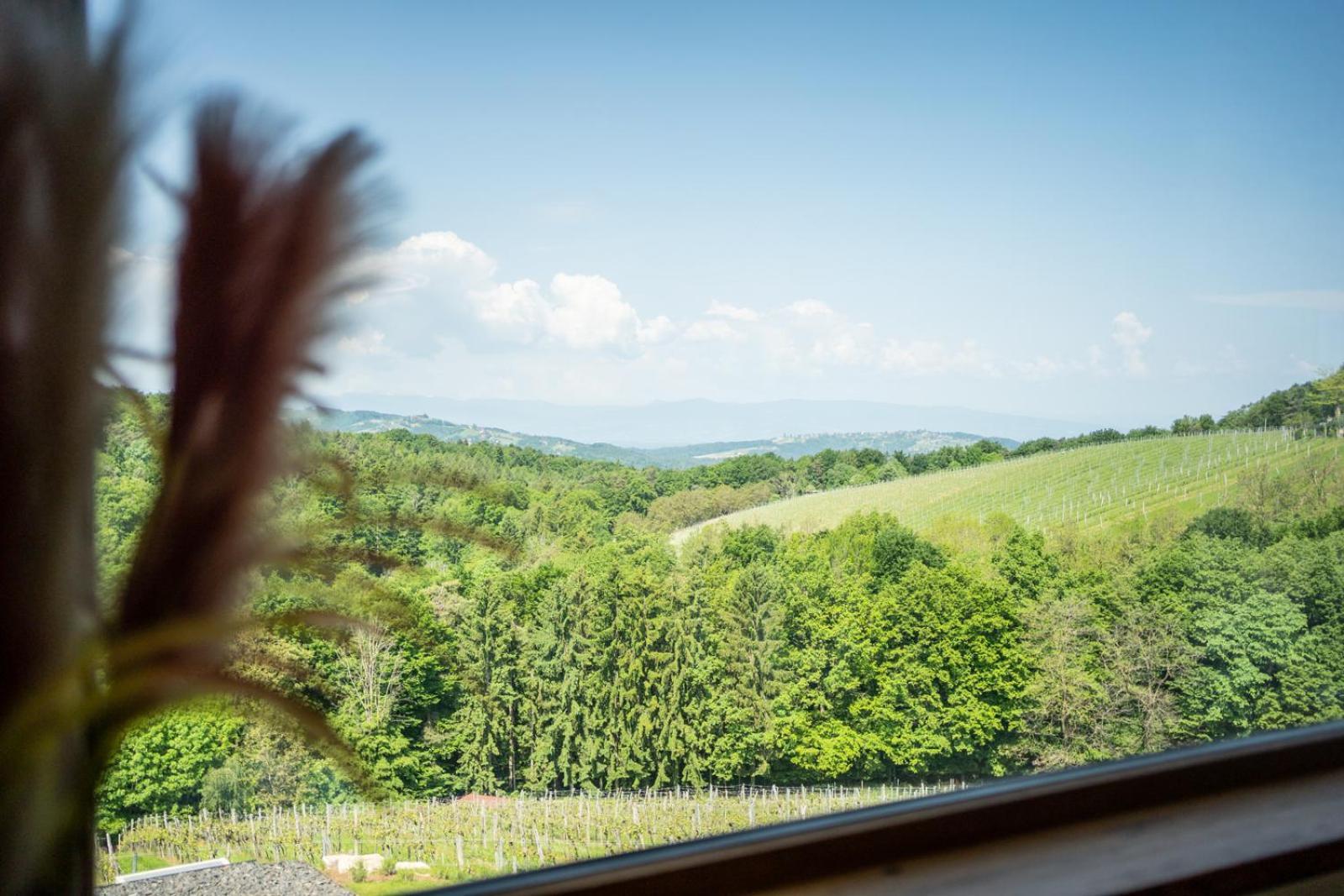 Apartament Steirerblicke - Am Winzerkogel Leibnitz Zewnętrze zdjęcie